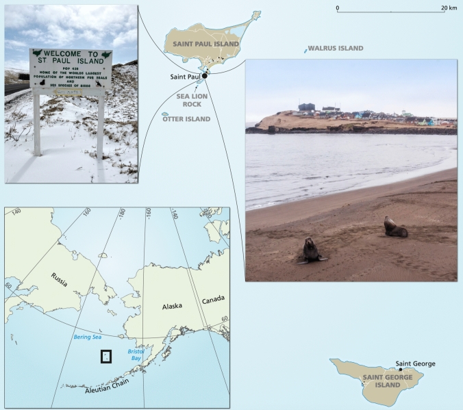 Value change debt as a window of opportunity for transformative change: a case study on the mixed Indigenous food system of St. Paul Island, Alaska.