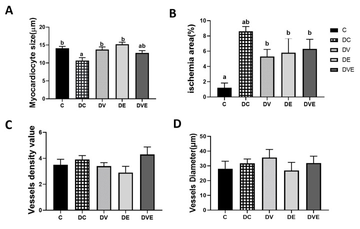 The mechanism of vascular adhesion molecule-1 in an ischemia-reperfusion cardia model.