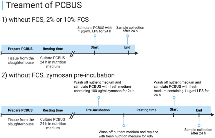 Pre-stimulation of precision-cut bovine udder slices with zymosan before LPS exposure indicates aspects of trained immunity especially in the absence of FCS.