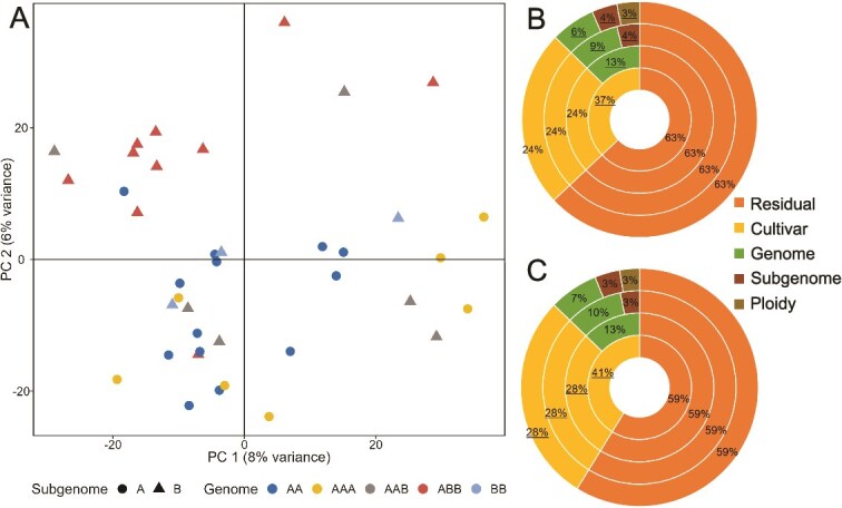 Altered rhizosphere microbiome composition associated with B-subgenome cultivars of diploid and triploid banana plants.