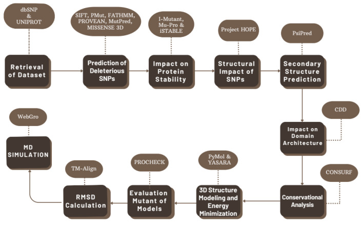 A systematic in-silico functional and structural analysis reveals deleterious missense nsSNPs in the human <i>CSF1R</i> gene.