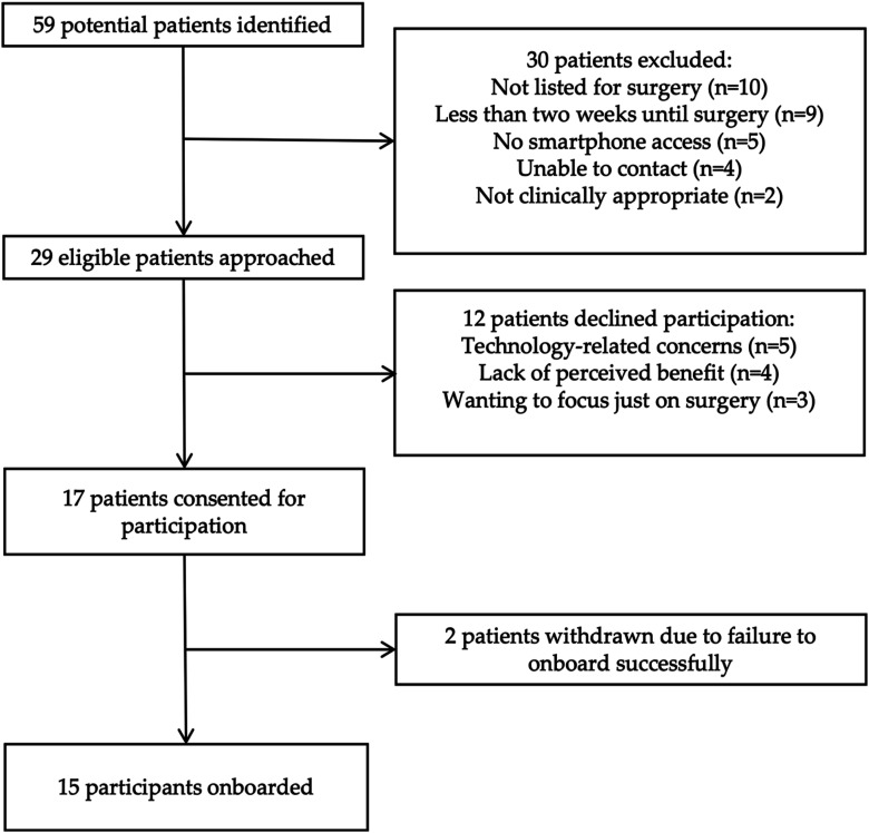 Feasibility and Acceptability of an App-Based, Multimodal Prehabilitation Program for Women Undergoing Surgery for Gynaecological Cancer.