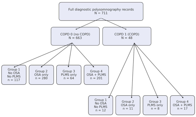 Nocturnal hypoxemia in COPD: the amplifying effect of comorbid OSA and PLMS on oxygen desaturation.