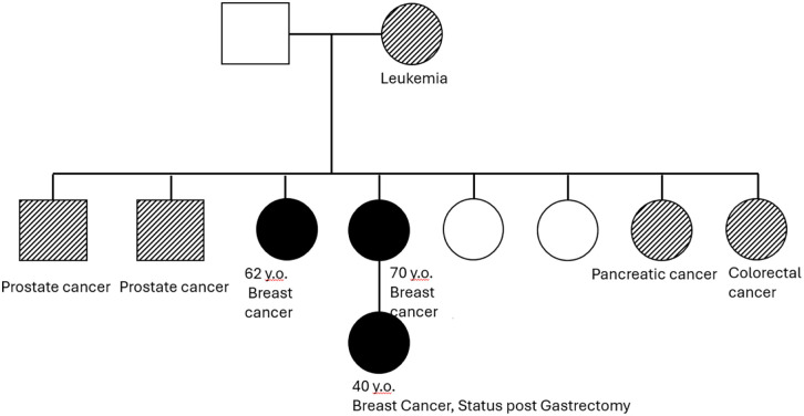 Hereditary Cancer Syndromes in Familial Breast Cancer: Insights Into Proactive Gastric Cancer Surveillance.