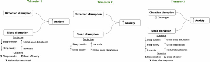 Associations between sleep and circadian rhythm disruption and perinatal anxiety.