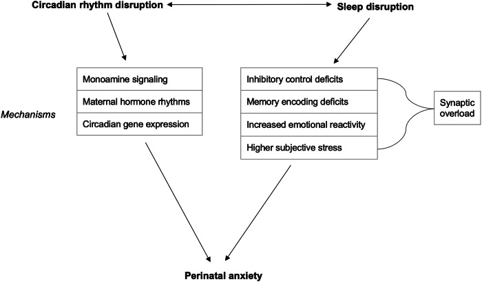 Associations between sleep and circadian rhythm disruption and perinatal anxiety.