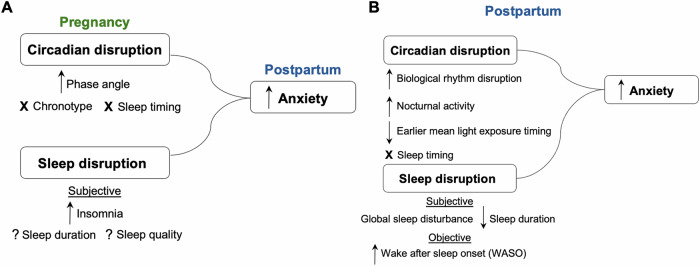 Associations between sleep and circadian rhythm disruption and perinatal anxiety.