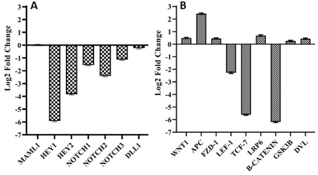 Role of <i>VOPP1</i> in regulation of Paclitaxel response and EMT process during ovarian tumor progression.
