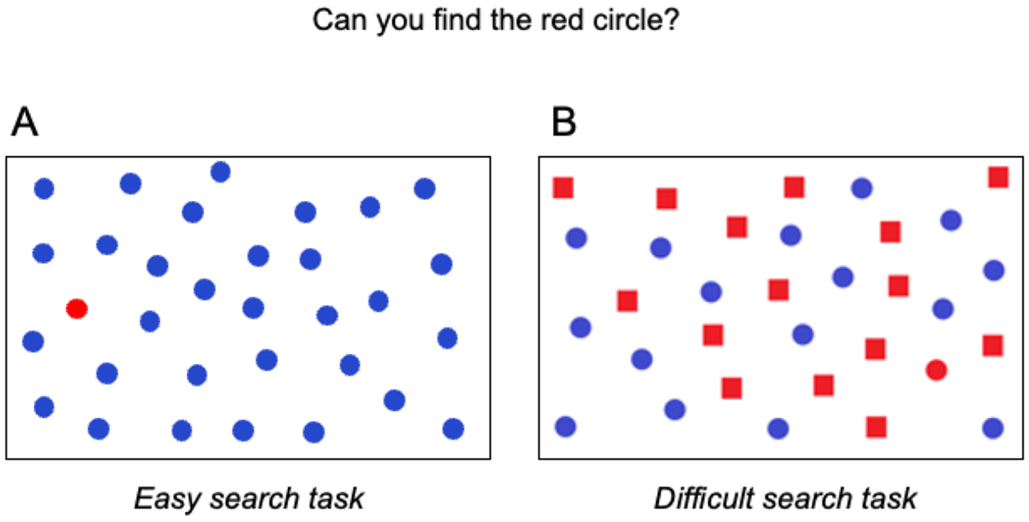 CEREBRAL VISUAL IMPAIRMENT: WHEN THE EYES CAN SEE BUT THE BRAIN DOES NOT FIND.
