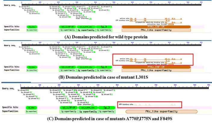 A systematic in-silico functional and structural analysis reveals deleterious missense nsSNPs in the human <i>CSF1R</i> gene.