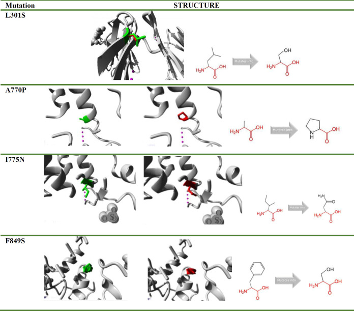 A systematic in-silico functional and structural analysis reveals deleterious missense nsSNPs in the human <i>CSF1R</i> gene.