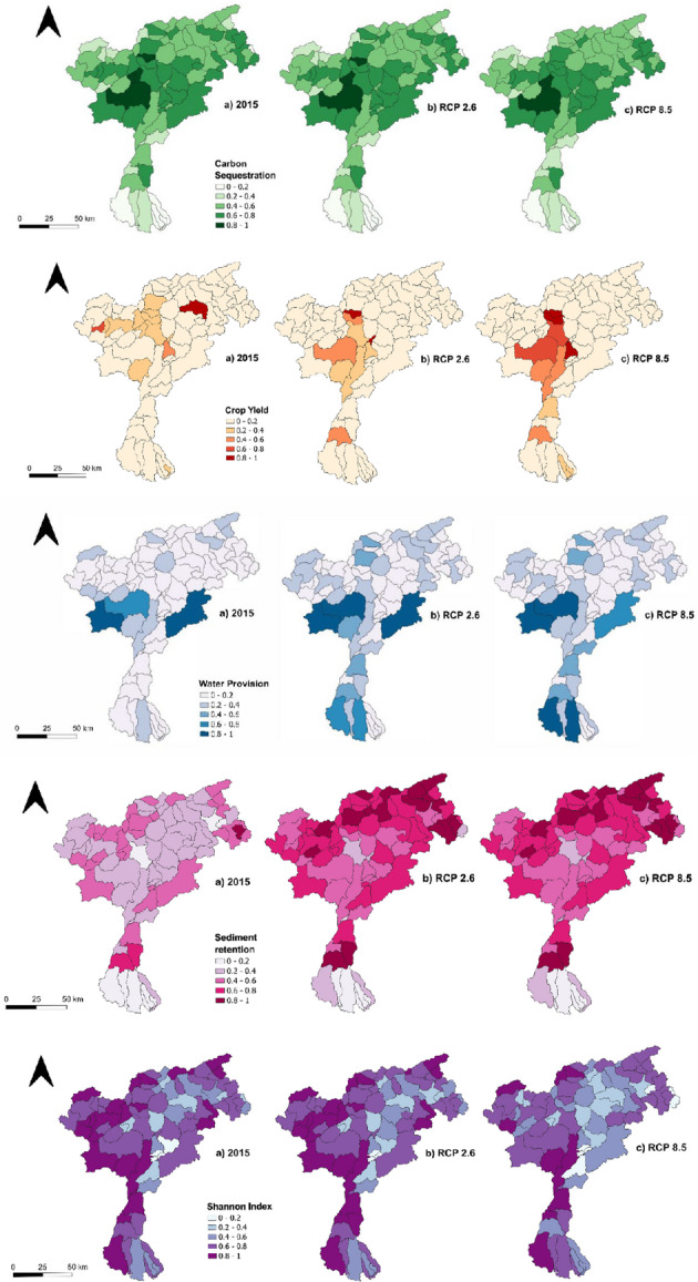 Managing the water-energy-food nexus in the adige river basin: impacts of climate and land use change on ecosystem services bundles.