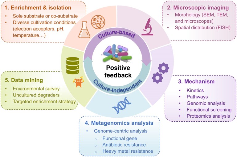 Biodegradation of synthetic organic pollutants: principles, progress, problems, and perspectives.