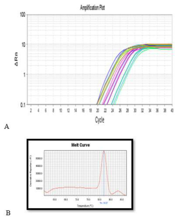 Investigating the effects of vitamin D3 and 5-aminosalicylic acid (Mesalazine) on the expression of virulence determinants in <i>Escherichia coli</i> isolated from patients with IBD and colorectal cancer.