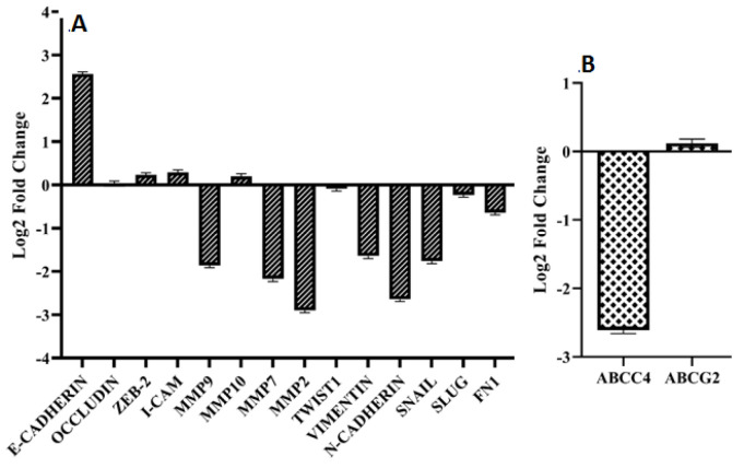 Role of <i>VOPP1</i> in regulation of Paclitaxel response and EMT process during ovarian tumor progression.