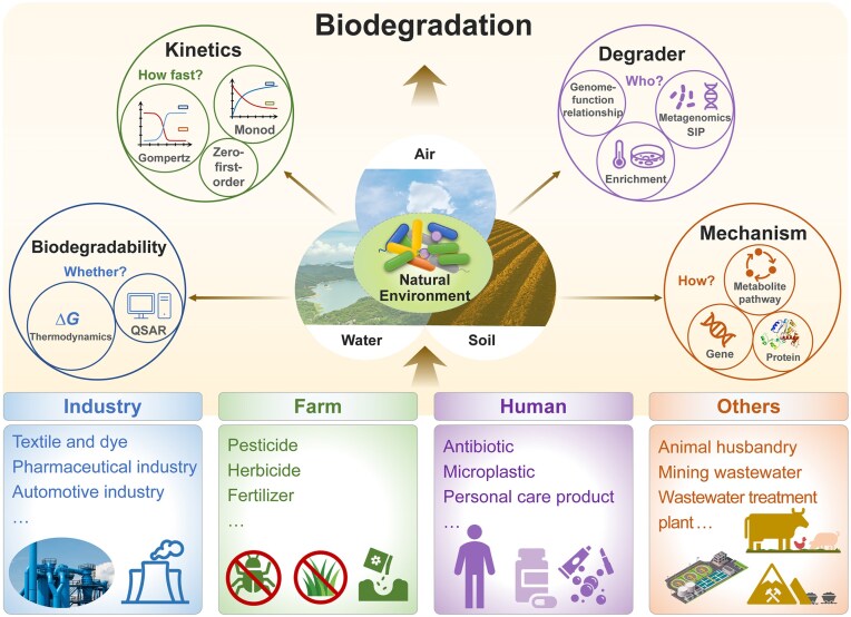Biodegradation of synthetic organic pollutants: principles, progress, problems, and perspectives.