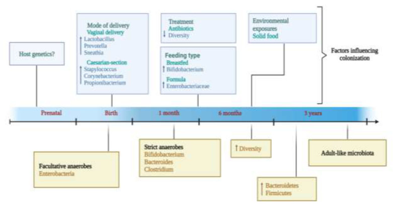 Variations in gut microbiota in celiac disease patients: a systematic review.