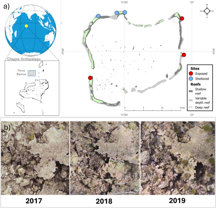 Fate-tracking early coral recruits following bleaching in a remote reef ecosystem.