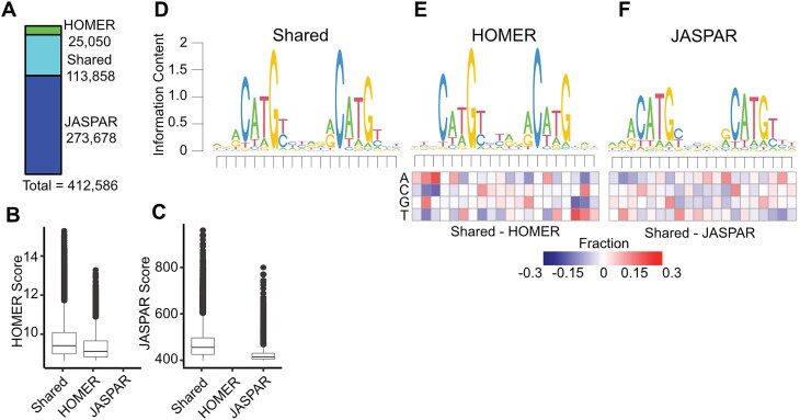 p53motifDB: integration of genomic information and tumour suppressor p53 binding motifs.