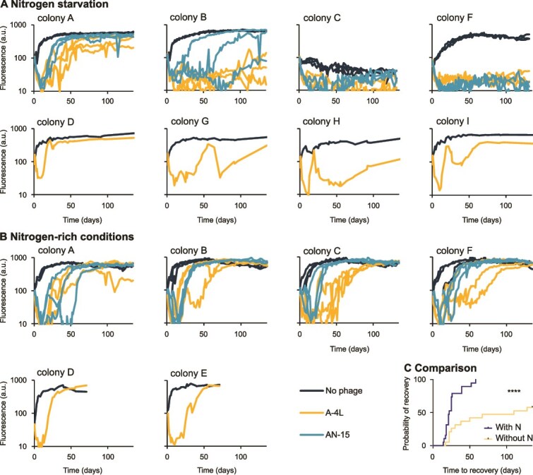 Nitrogen availability shapes evolution of phage resistance in cyanobacteria.