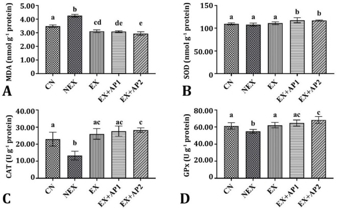 Protective role of apilarnil against intense exercise-induced liver injury in rats: serological and histopathological evidence.