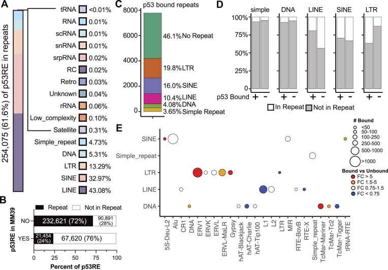 p53motifDB: integration of genomic information and tumour suppressor p53 binding motifs.