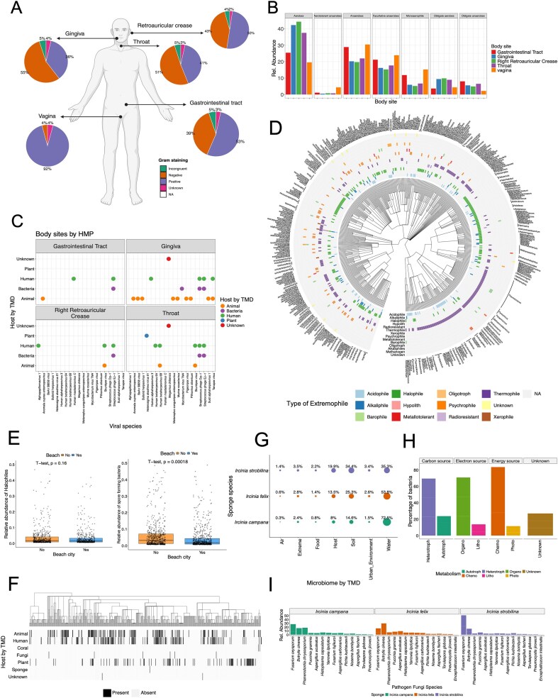 The Microbe Directory: a centralized database for biological interpretation of microbiome data.