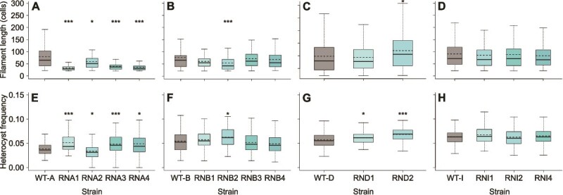 Nitrogen availability shapes evolution of phage resistance in cyanobacteria.