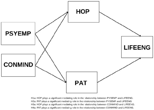Psychological Empowerment, Conscious Mindfulness, and Life Engagement in Seafarers: Mediating Patience and Moderating Hope.