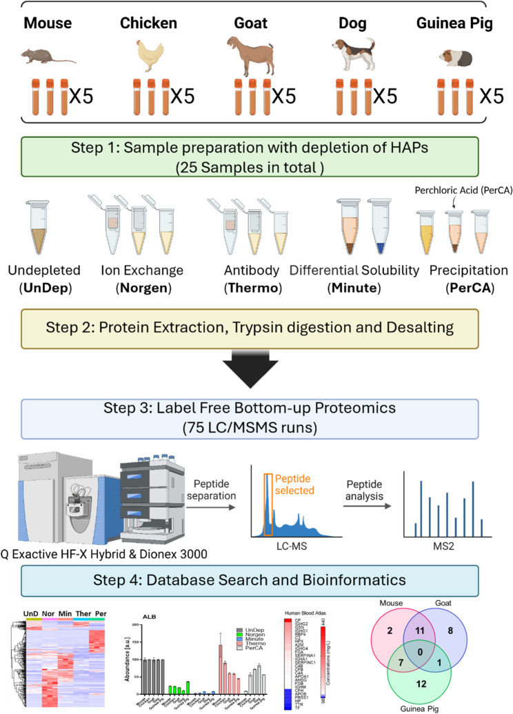 A cross-species proteomic assessment of cost-effective platforms for depleting high-abundant proteins from blood serum.