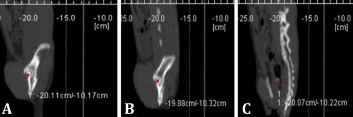 The study of spinopelvic parameters measurement by computed tomography in Scottish cats.