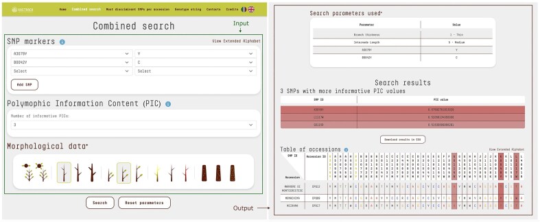 A new database of chestnut DNA fingerprints for genetic diversity assessment, precise varietal identification, and traceability.
