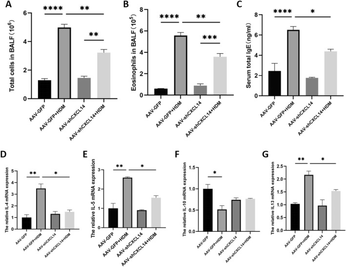 <i>CXCL14</i> increase dendritic cell antigen presentation and promote asthma immune response.