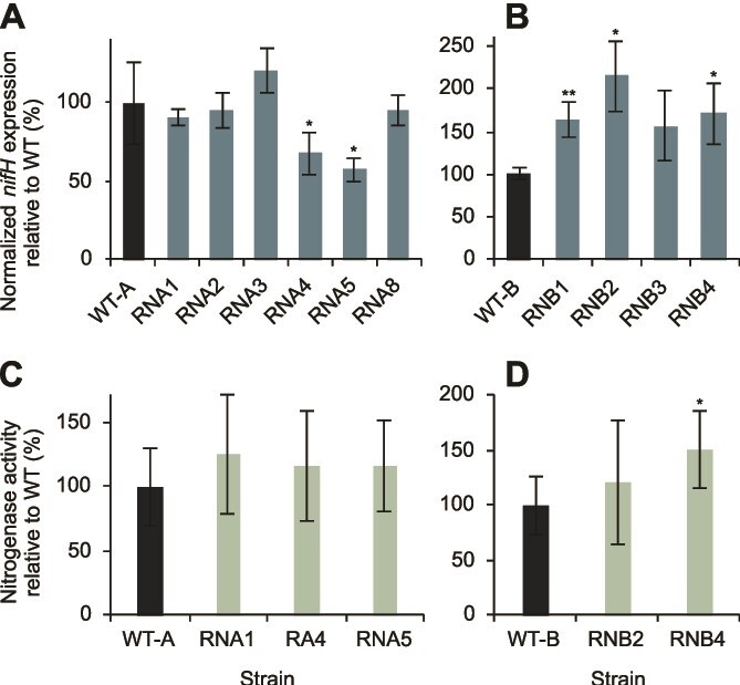 Nitrogen availability shapes evolution of phage resistance in cyanobacteria.
