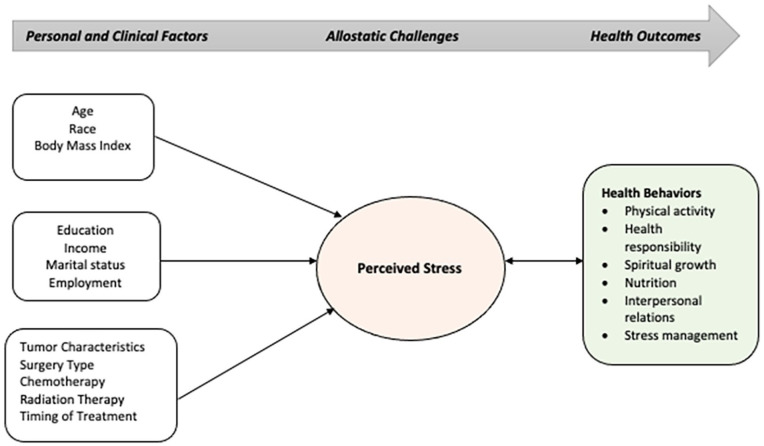 The relationships among health-promoting lifestyle behaviors and perceived stress in women with early-stage breast cancer over 2 years.
