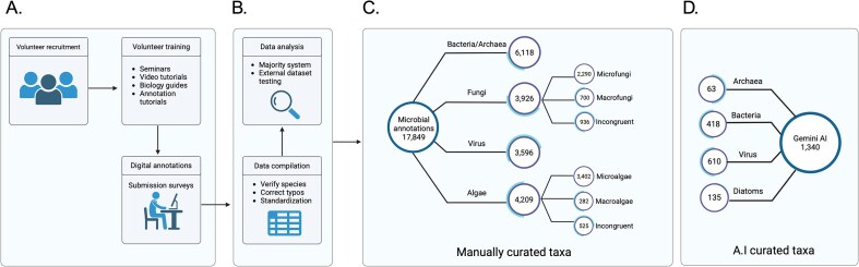 The Microbe Directory: a centralized database for biological interpretation of microbiome data.