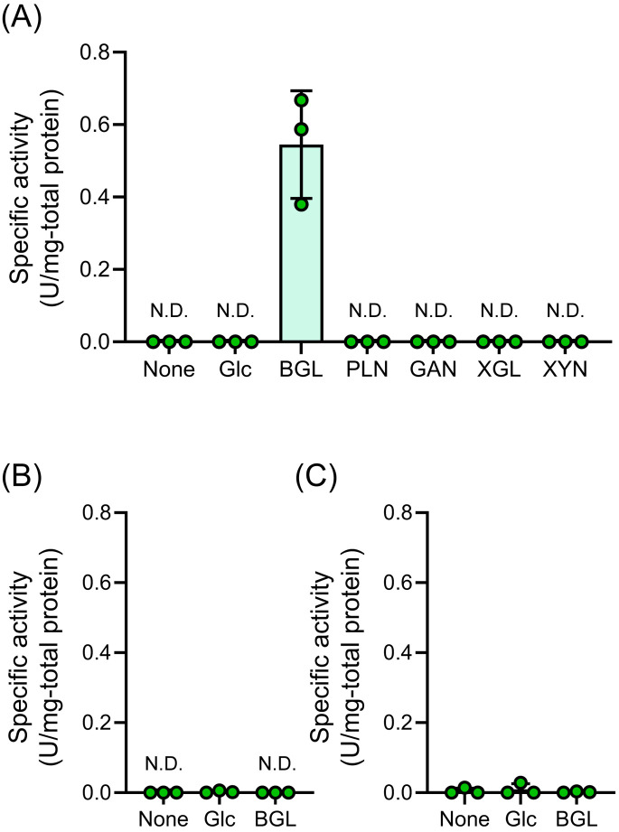 Genetic analysis of a β-1,3/1,4-glucan utilization gene cluster in <i>Segatella copri</i> JCM 13464<sup>T</sup>.