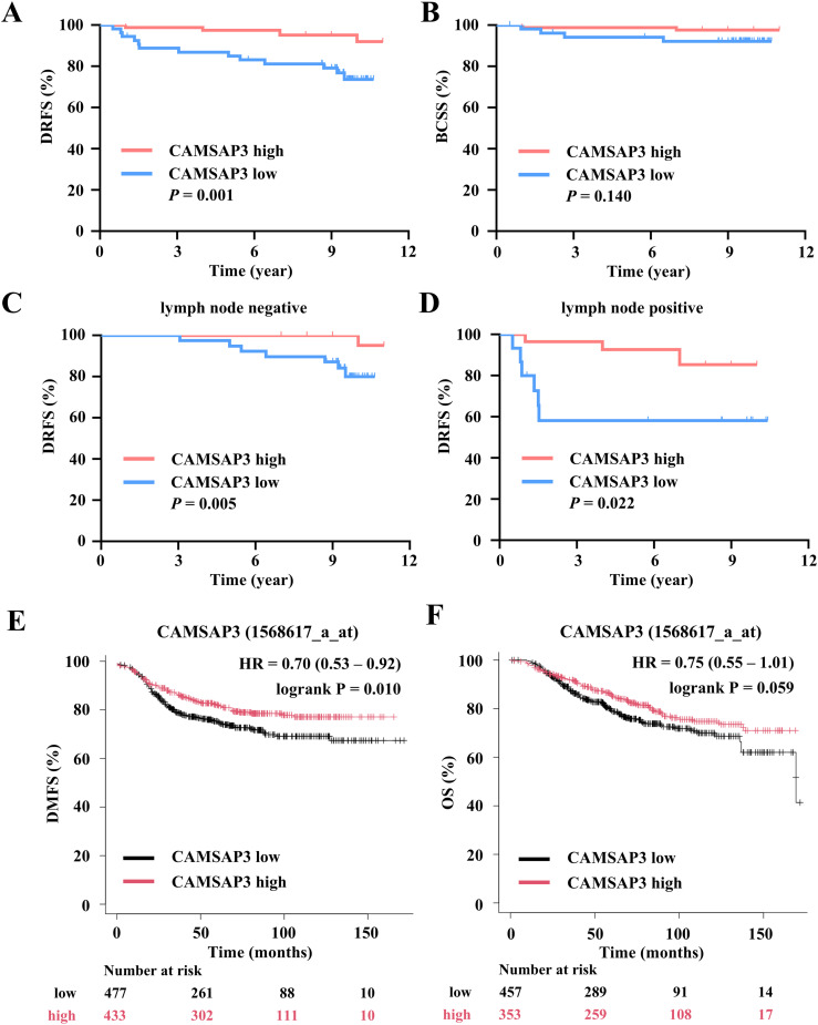CAMSAP3 Suppresses Breast Cancer Metastasis and Serves as an Independent Prognostic Marker.