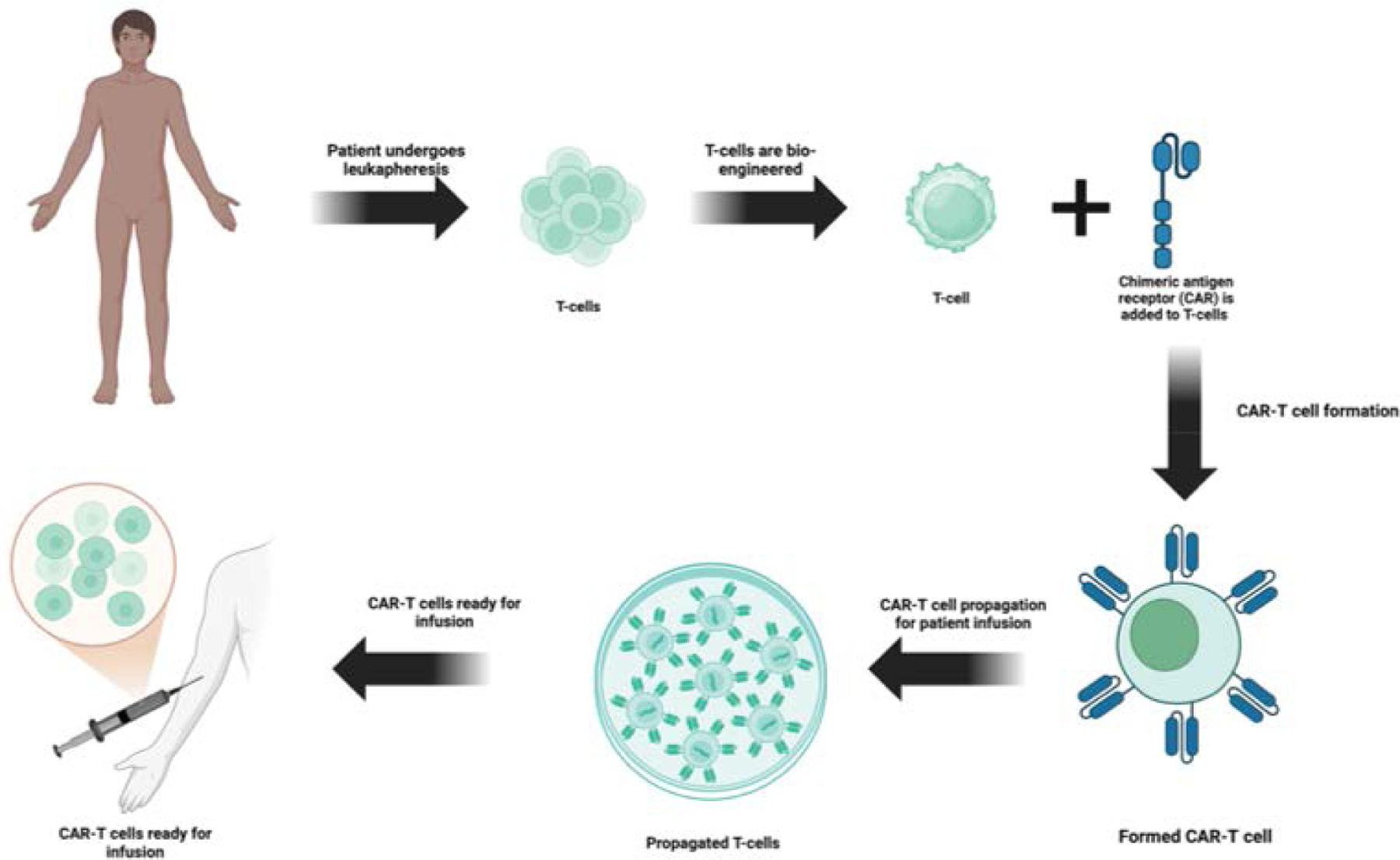 CAR T-Cell Therapy in Cancer: Balancing Efficacy with Cardiac Toxicity Concerns.
