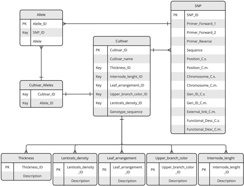 A new database of chestnut DNA fingerprints for genetic diversity assessment, precise varietal identification, and traceability.
