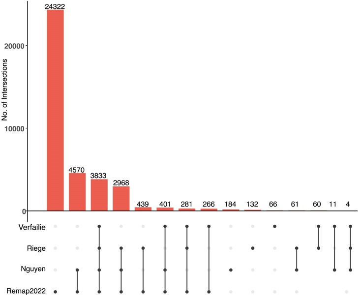 p53motifDB: integration of genomic information and tumour suppressor p53 binding motifs.