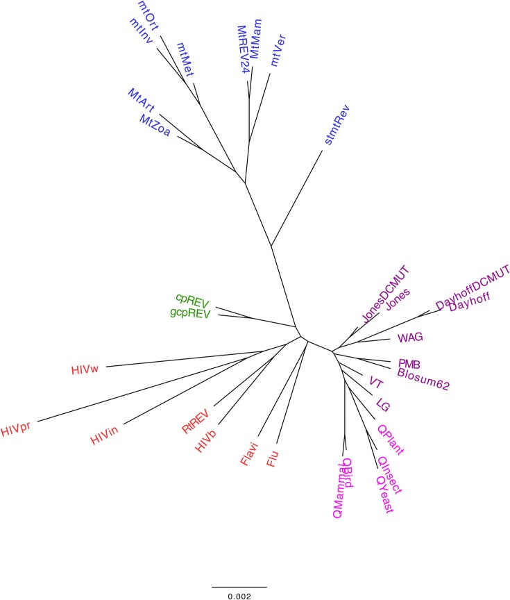 Empirical substitution models of protein evolution: database, relationships, and modeling considerations.