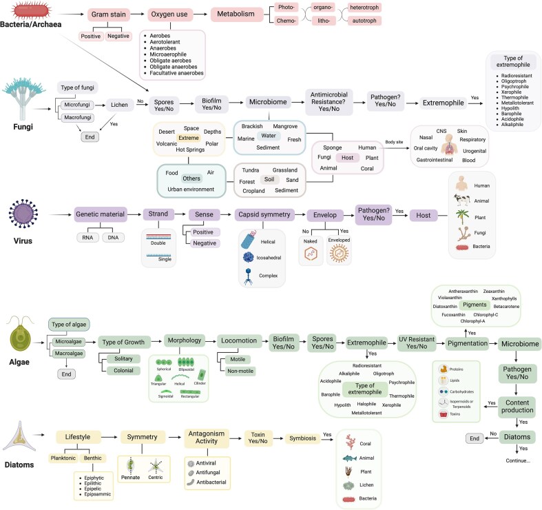 The Microbe Directory: a centralized database for biological interpretation of microbiome data.
