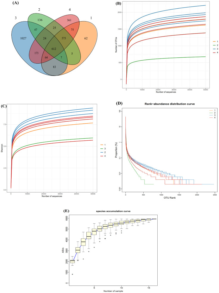 Gandouling improves Wilson's disease liver fibrosis by modulating intestinal flora: a randomized, double-blind, placebo-controlled trial.