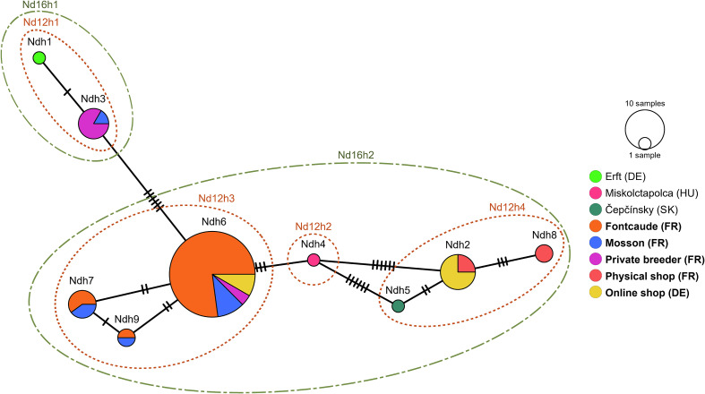 Seasonal exchange of microsporidian parasites between native and non-native pet-traded freshwater crustaceans: Is parasite spillover favored over spillback?