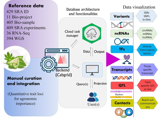 BgDB: a comprehensive genomic resource information system of bitter gourd for accelerated breeding programme.