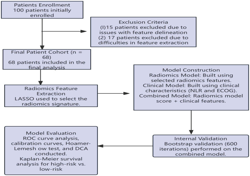 Prediction of the Efficacy and Prognosis of Anlotinib in Lung Cancer Patients Using CT Radiomics.