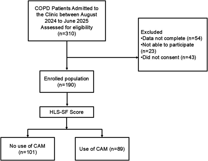 Patients with chronic obstructive pulmonary disease and the use of complementary and alternative medicine: The role of health literacy in Türkiye.