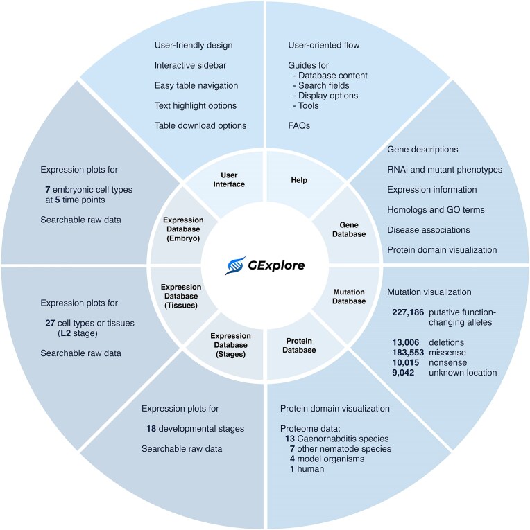 GExplore 1.5: a comprehensive Caenorhabditis elegans database for the analysis of gene function with a new user-friendly web interface.