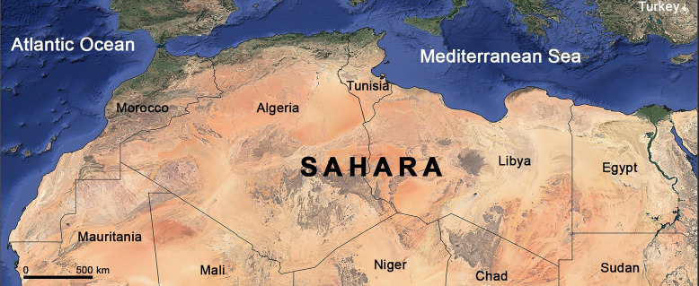 Trypanosoma evansi infection in Tunisia: current situation.
